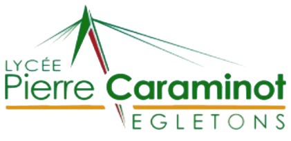lycee caraminot
